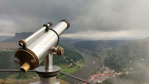 Quels sont les secrets pour une observation des ours polaires au Svalbard, Norvège ?